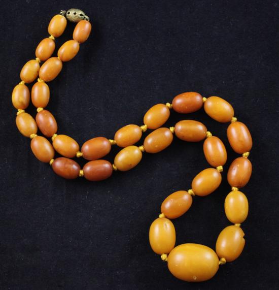 A single strand graduated amber bead necklace, 19in.